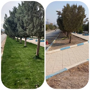 چمن کاری بلوارشهیدسلیمانی وامام(ره)