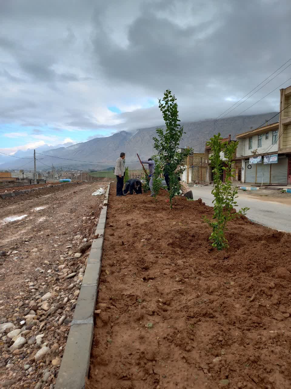 ادامه نهال کاری بلوار شهید سلیمانی